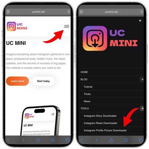 Select the Instagram Profile Picture Downloader